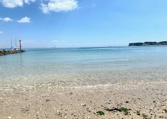 Detente Et Vue Sur Le Port Au Pouliguen